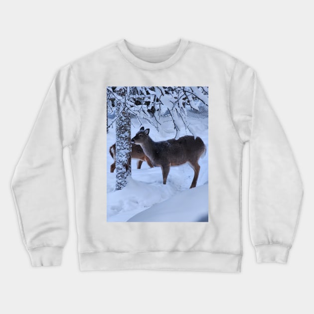 Lapland Crewneck Sweatshirt by ZoeBaruch